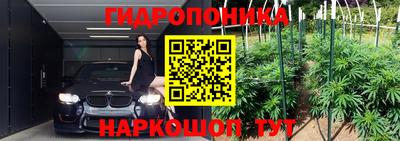 ALPHA PVP Кунгур