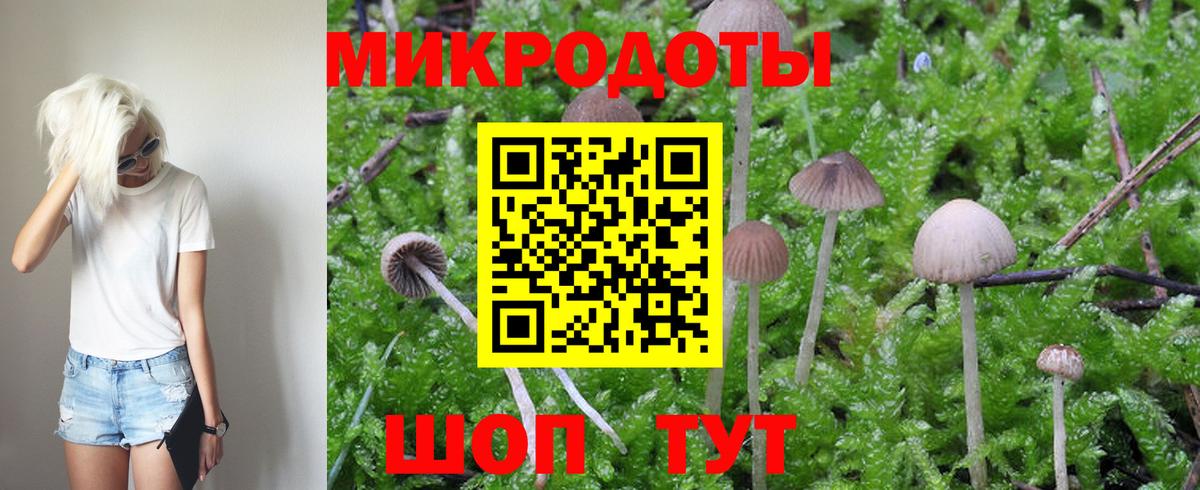 Псилоцибиновые грибы мухоморы Зеленокумск