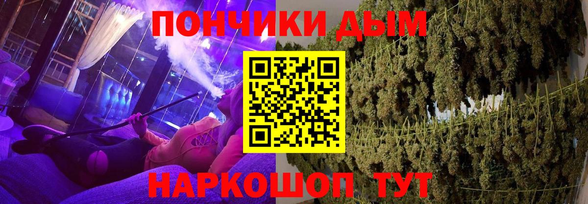 Конопля гибрид Зеленокумск